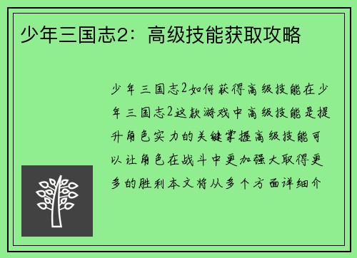 少年三国志2：高级技能获取攻略
